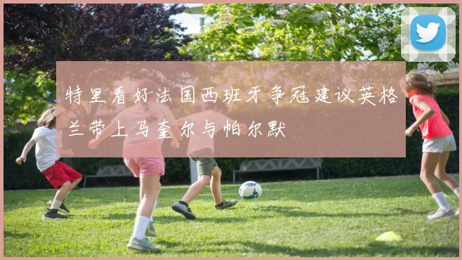 特里看好法国西班牙争冠建议英格兰带上马奎尔与帕尔默
